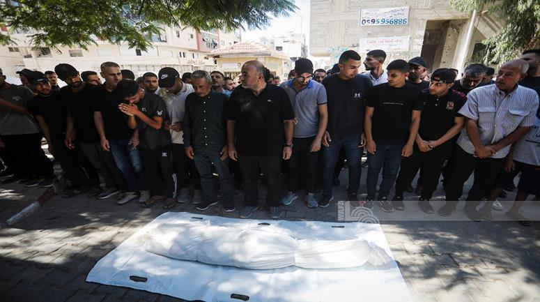صورة ارشيفية